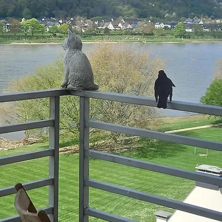 Apartamento Rheinapartment 8