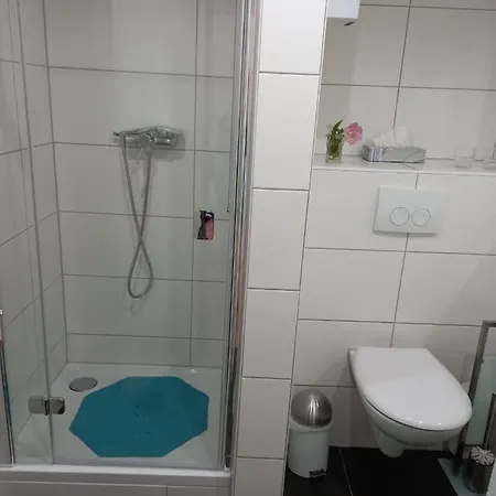 Rheinapartment 8 * Бад-Хённинген