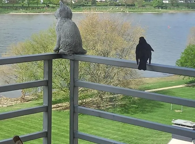 Apartamento Rheinapartment 8