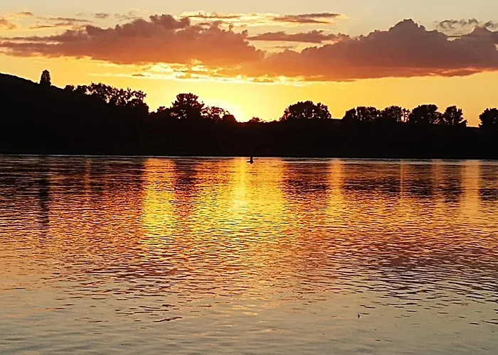 Rheinapartment 8 Apartamento