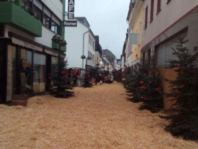 Rheinapartment 8 * Bad Honningen